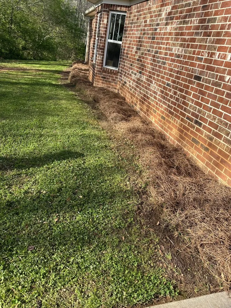 Top-rated landscape design in Locust Grove, GA by All Season Turf Care