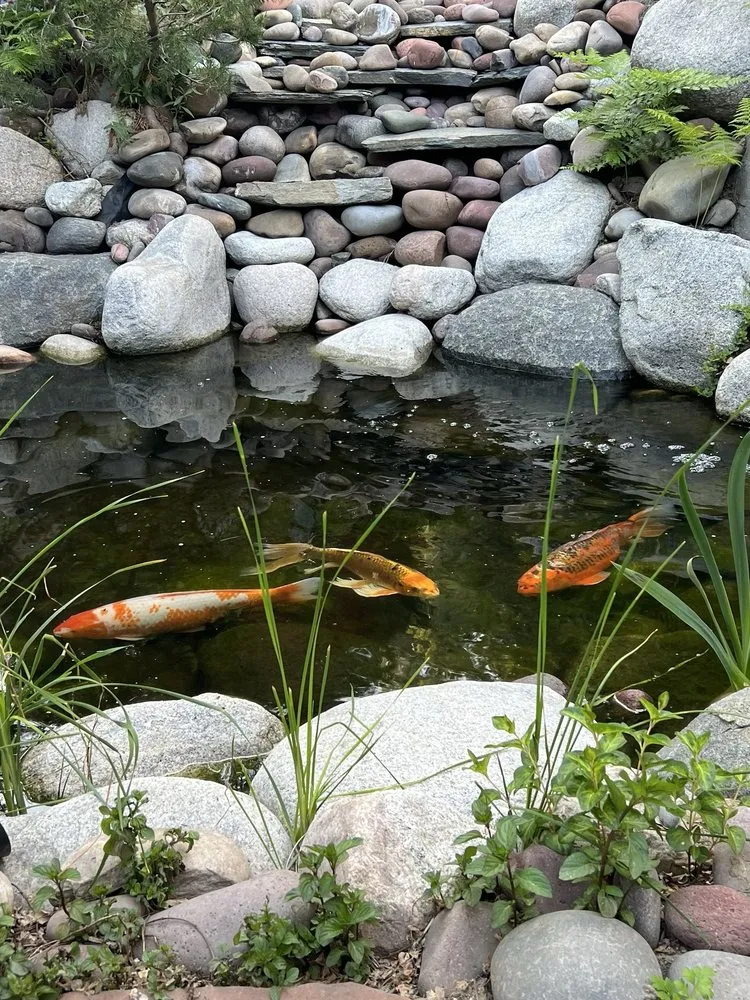 Custom yard maintenance experts serving Crestline, CA - All Season Water Gardens