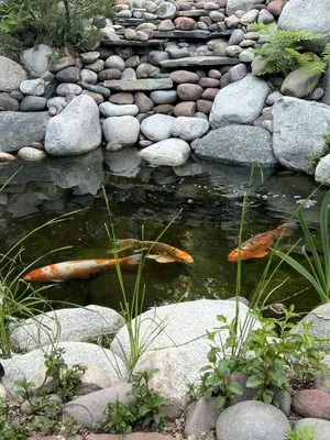 All Season Water Gardens