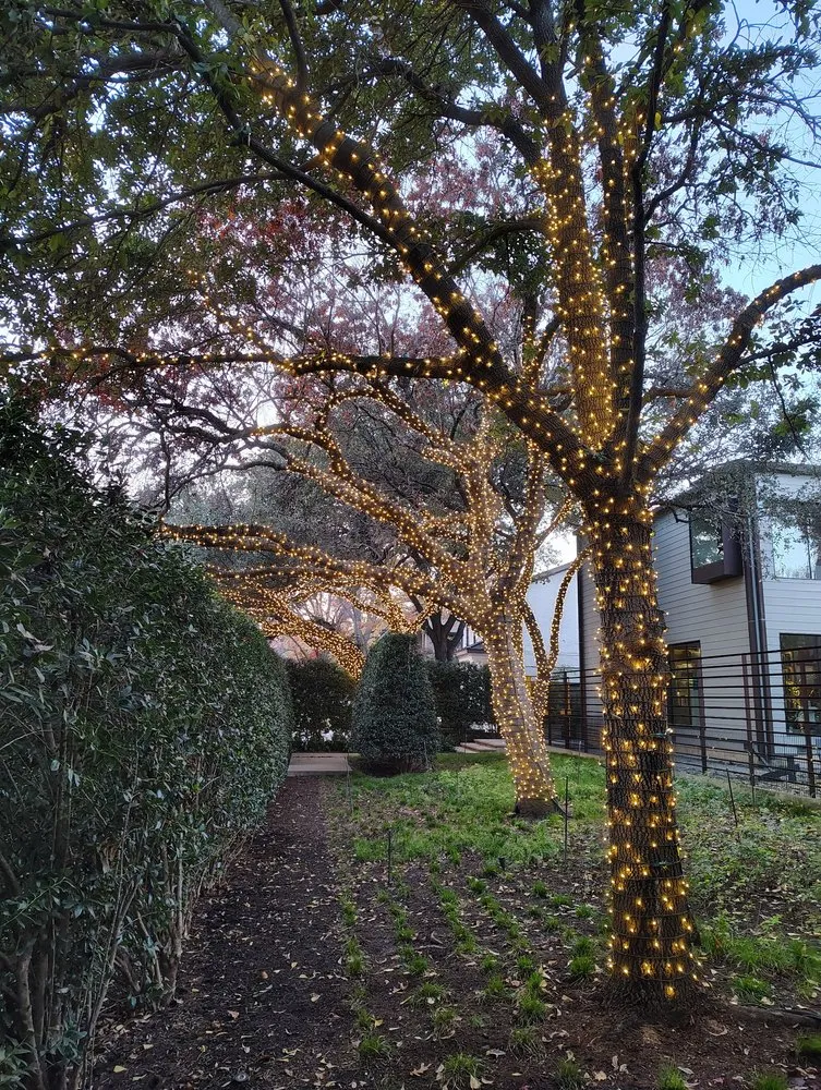 Top-rated landscape design in Lucas, TX - All Season Yard And Light