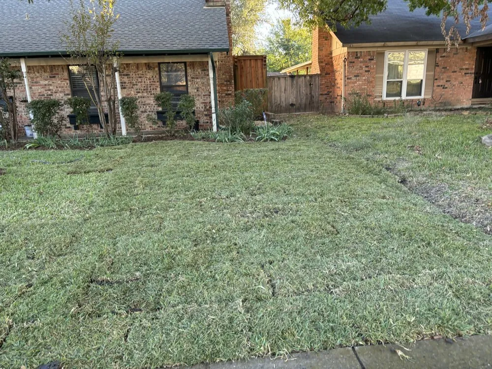 Reliable outdoor landscaping with custom design across Lucas, TX - All Season Yard And Light