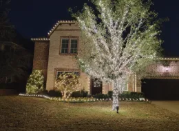 Trusted lawn care service in Lucas, TX by All Season Yard And Light