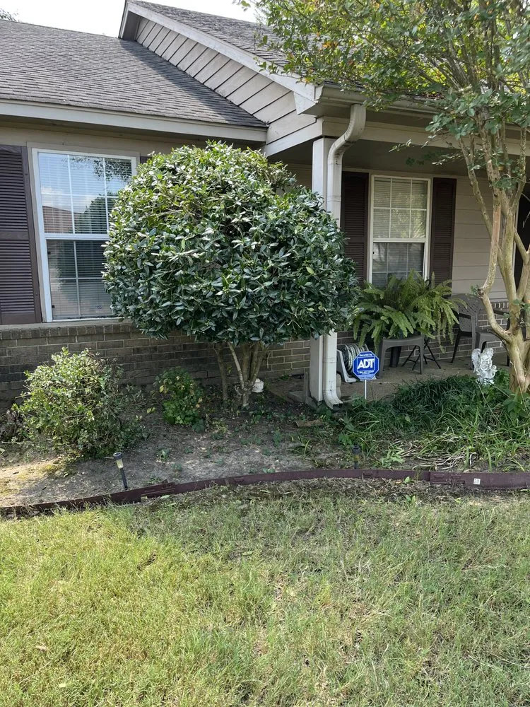 Trusted outdoor landscaping with custom design across Southaven, MS - All Season Yard Service