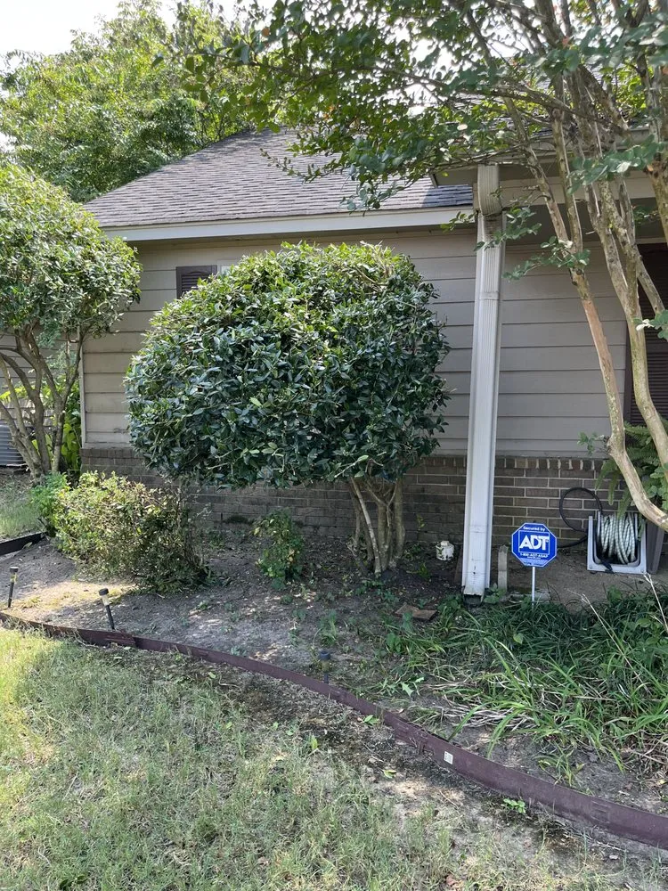 Custom lawn mowing service experts serving Southaven, MS - All Season Yard Service