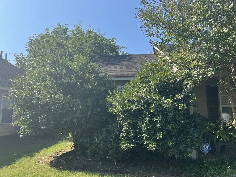 Affordable lawn mowing service in Southaven, MS - All Season Yard Service