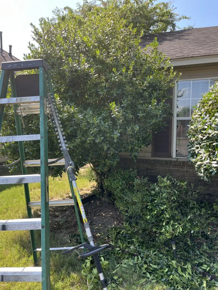 Professional landscape installation for beautiful yards across Southaven, MS - All Season Yard Service