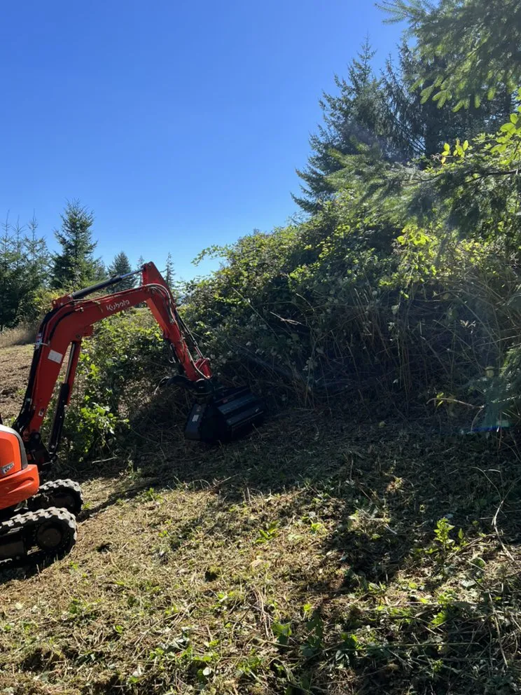 Professional residential landscaping for residential properties in Coos Bay, OR by All Seasons