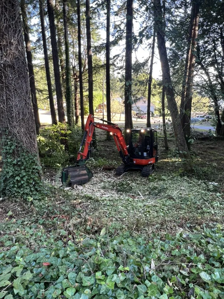 Professional garden landscaping experts serving Coos Bay, OR - All Seasons