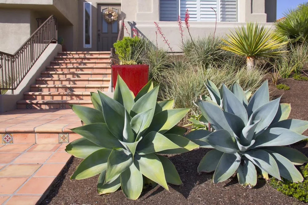 Affordable outdoor landscaping in Arroyo Grande, CA - All Seasons Gardening & Landscaping
