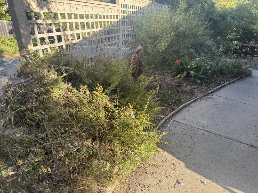 Expert outdoor landscaping for homes across Arroyo Grande, CA - All Seasons Gardening & Landscaping