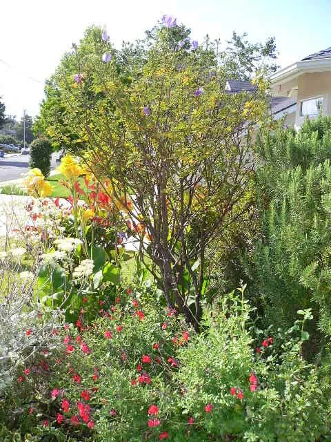 Affordable landscape installation for outdoor upgrades in Arroyo Grande, CA by All Seasons Gardening & Landscaping