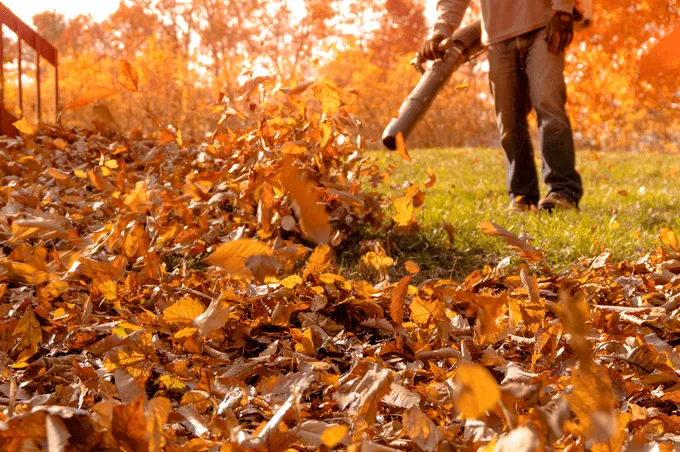 Trusted garden landscaping in Roy, UT by All Seasons Grass Maintenance And Snow Removal