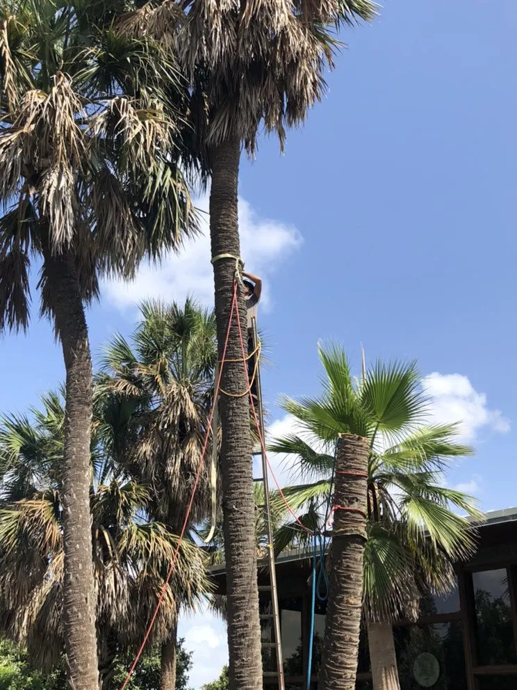 Custom lawn mowing service for year-round maintenance across La Vernia, TX - All Seasons Ground Care