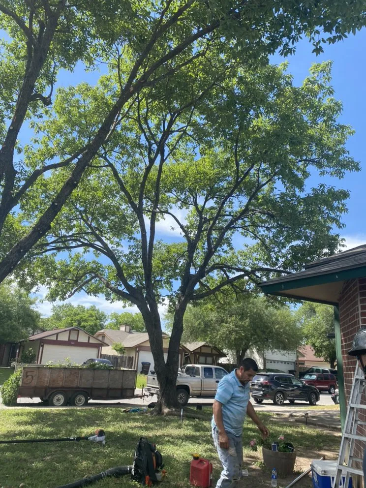 Expert landscaping services in La Vernia, TX by All Seasons Ground Care