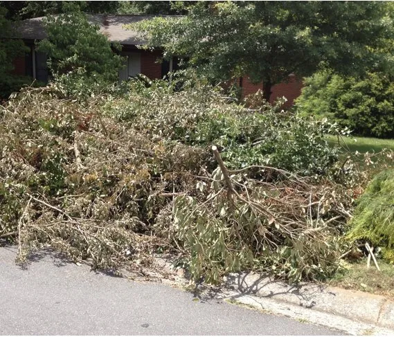 Top-rated garden landscaping for year-round maintenance in Pasadena, CA by All seasons hauling & junk removal