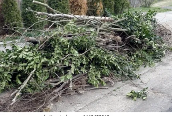 Custom lawn care service in Pasadena, CA - All seasons hauling & junk removal