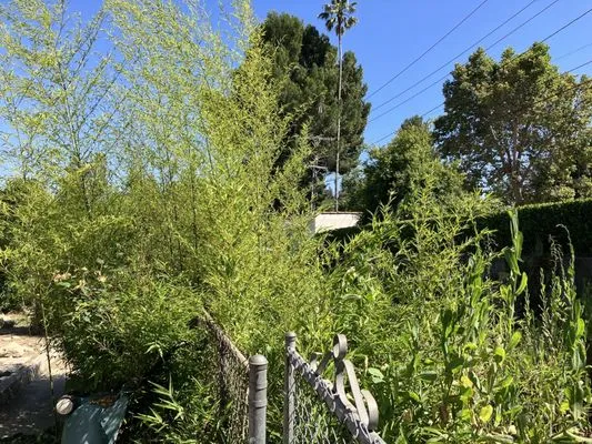 All seasons hauling & junk removal Logo