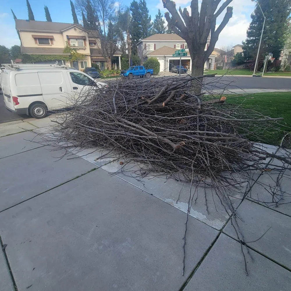 Custom landscaping services in Turlock, CA by All Seasons Hauling Service