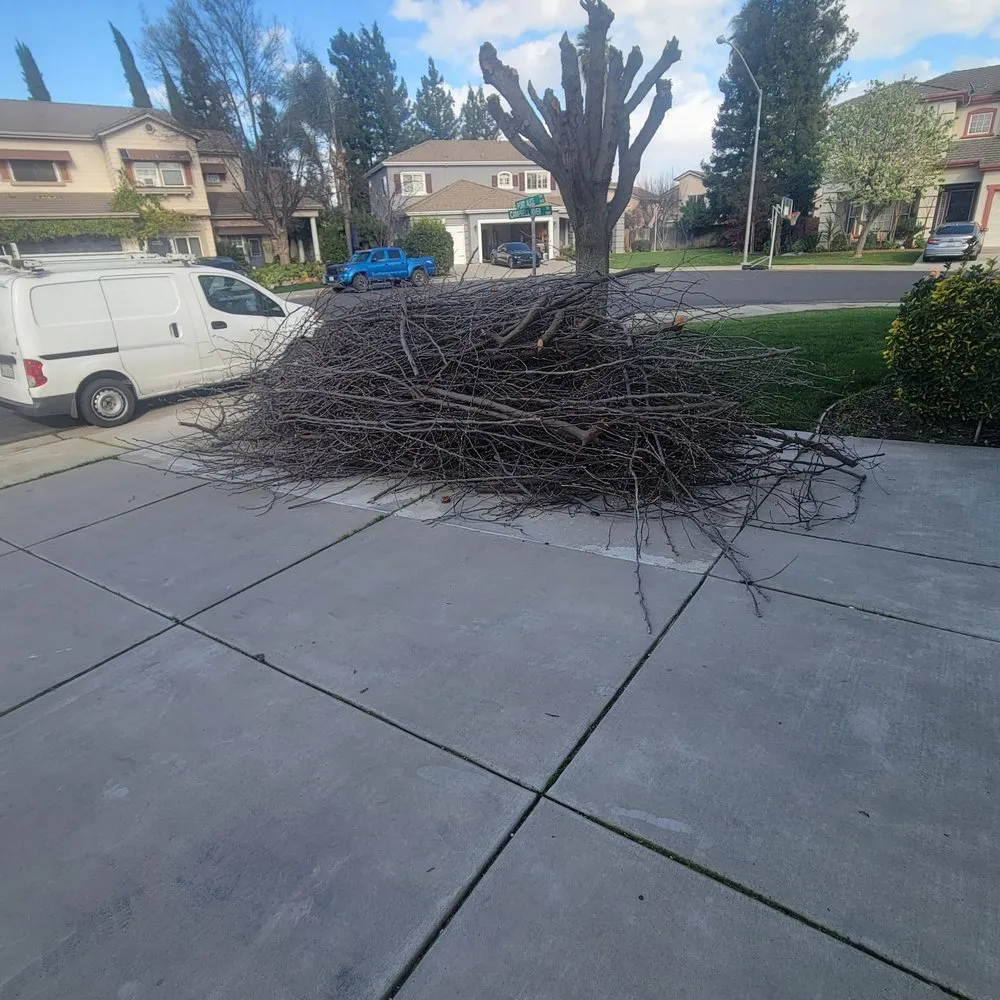 Affordable landscape design for homes across Turlock, CA - All Seasons Hauling Service