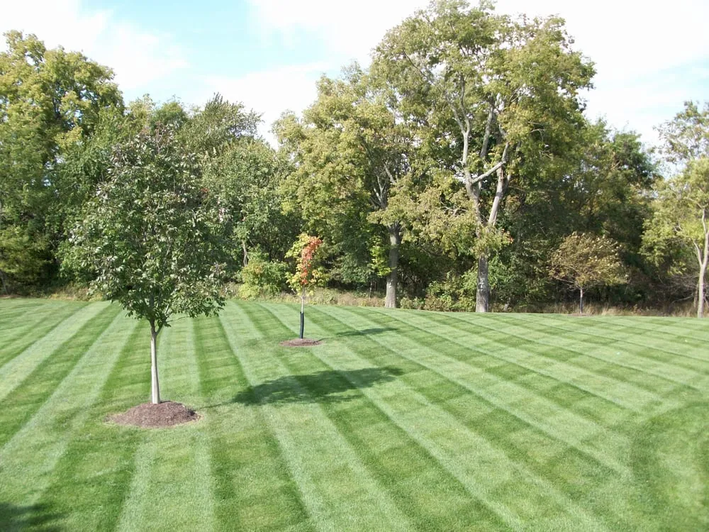 Trusted yard maintenance in Ypsilanti Township, MI - All Seasons Landscape & Snow Removal