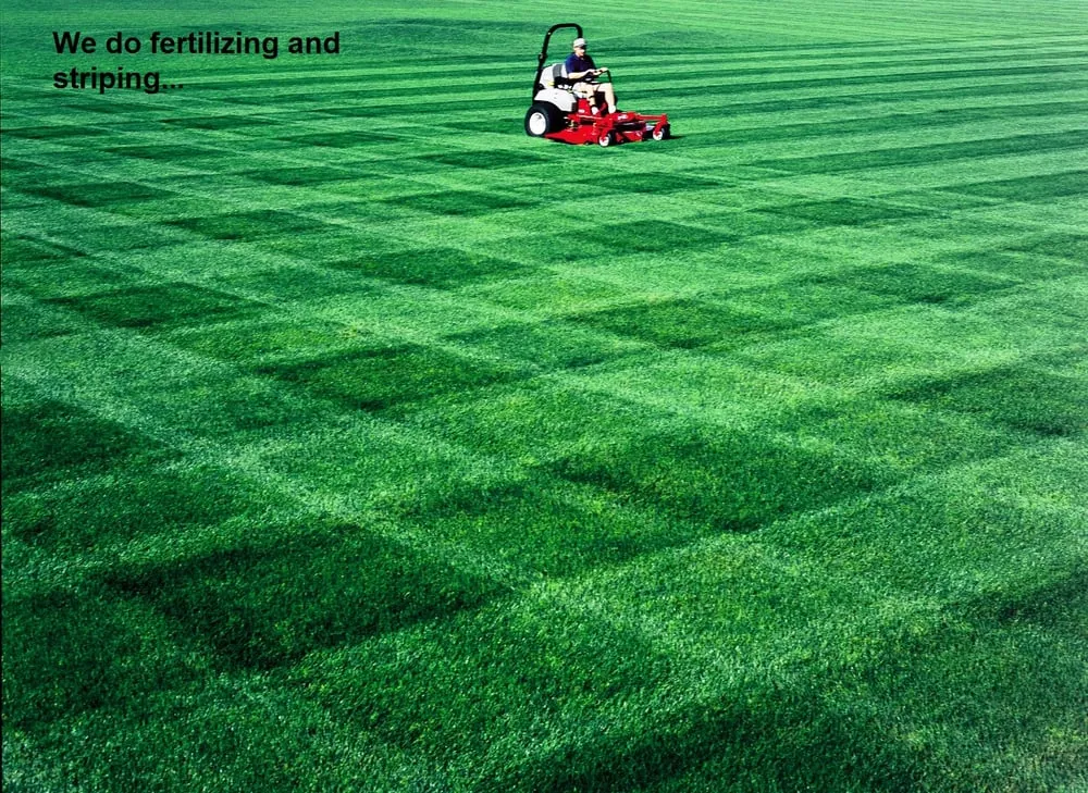 Expert yard maintenance with custom design in Ypsilanti Township, MI by All Seasons Landscape & Snow Removal
