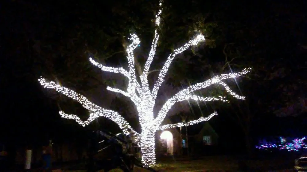 Custom residential landscaping for homes in Stafford, TX by All Seasons Landscape and Lighting