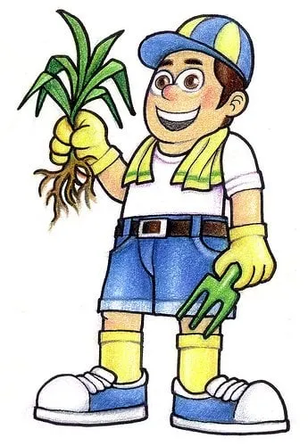 Trusted garden landscaping in Santa Rosa, CA - All Season's Landscape and Maintenance