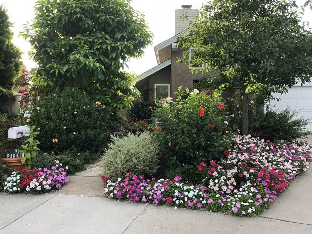 Custom landscape installation experts serving Carlsbad, CA - All Seasons Landscape Construction And Management