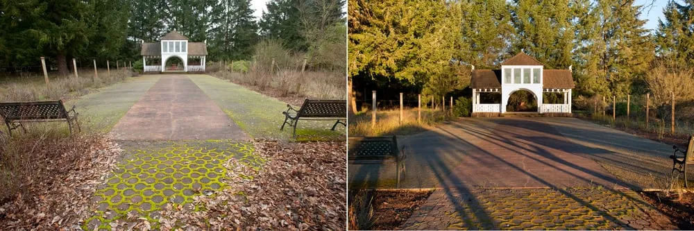 Professional landscape installation experts serving Eugene, OR - All Seasons Landscape Maintenance