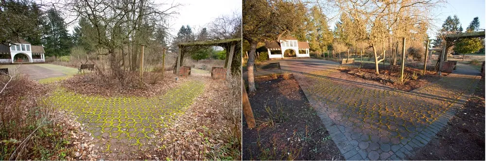 Expert residential landscaping for beautiful yards in Eugene, OR by All Seasons Landscape Maintenance