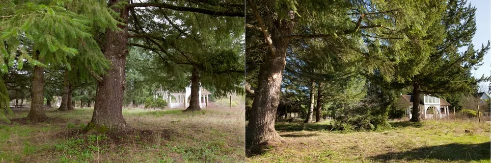 Local landscaping services for year-round maintenance in Eugene, OR by All Seasons Landscape Maintenance