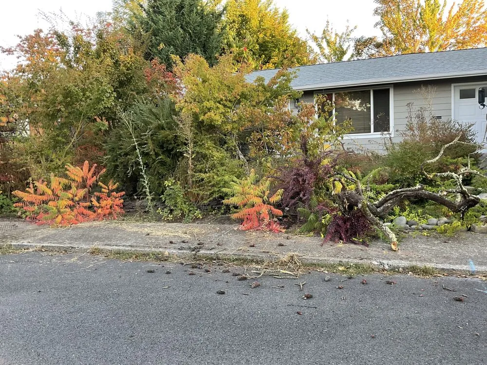 Reliable landscaping services in Eugene, OR by All Seasons Landscape Maintenance