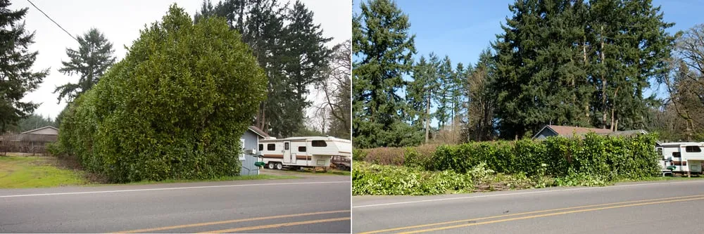 Top-rated outdoor landscaping with custom design in Eugene, OR by All Seasons Landscape Maintenance