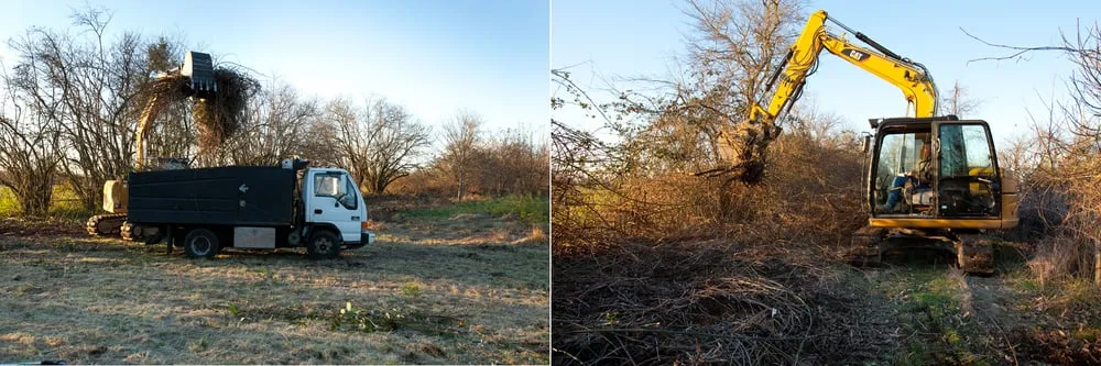 Top-rated landscape design in Eugene, OR - All Seasons Landscape Maintenance