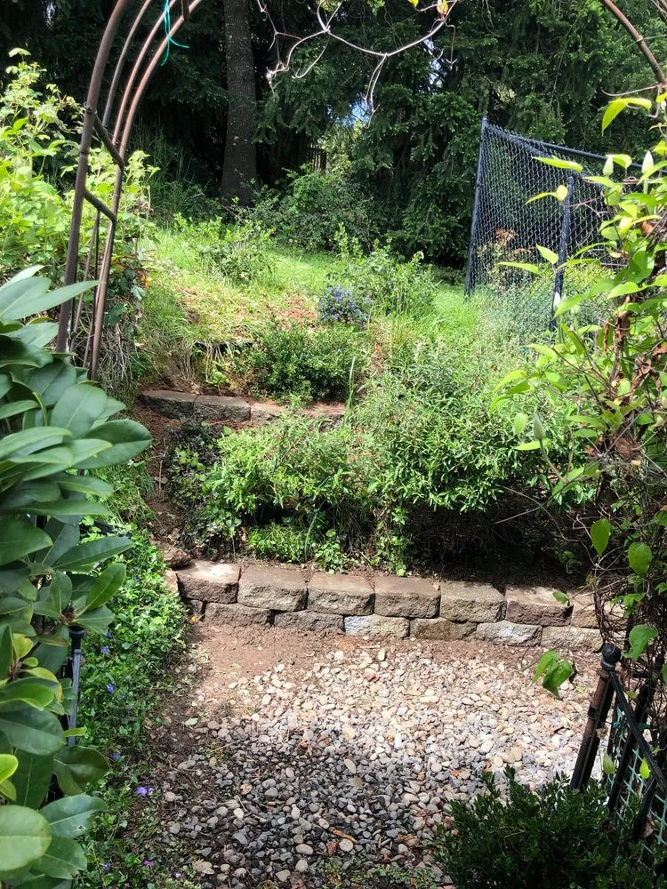 Trusted yard maintenance with custom design in Eugene, OR by All Seasons Landscape Maintenance