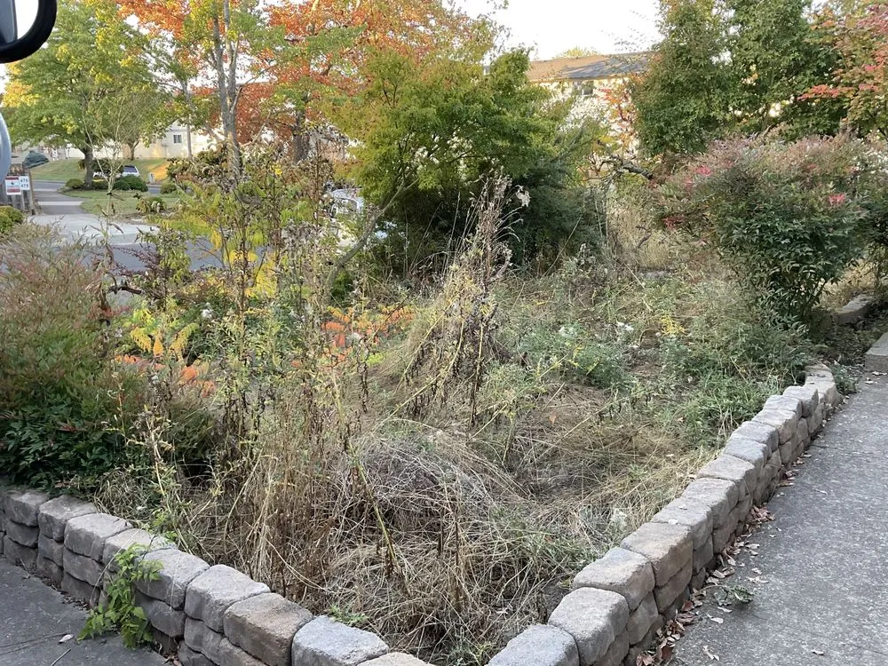 Trusted yard maintenance for outdoor upgrades across Eugene, OR - All Seasons Landscape Maintenance