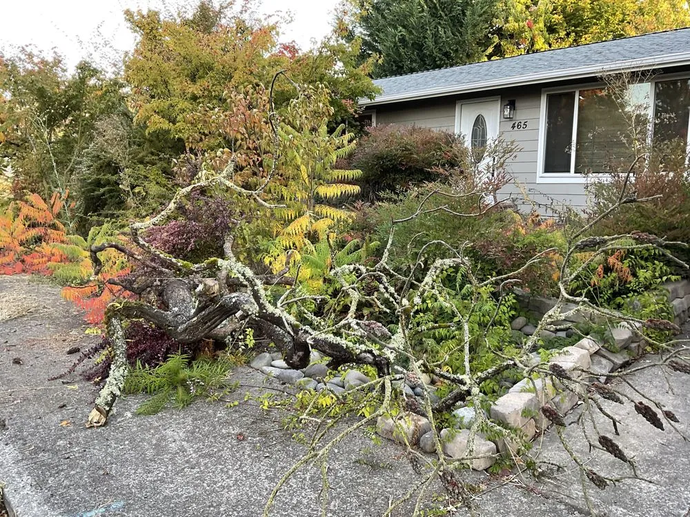 Expert landscape design experts serving Eugene, OR - All Seasons Landscape Maintenance