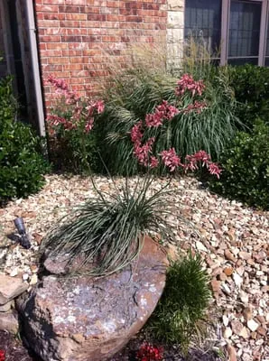 All Seasons Landscape Management