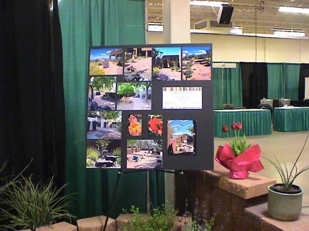 Trusted landscape installation for beautiful yards across Rio Rancho, NM - All Seasons Landscape