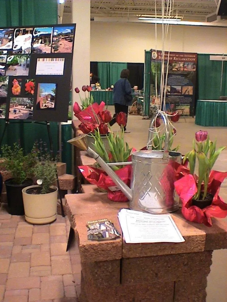 Professional lawn mowing service for residential properties across Rio Rancho, NM - All Seasons Landscape