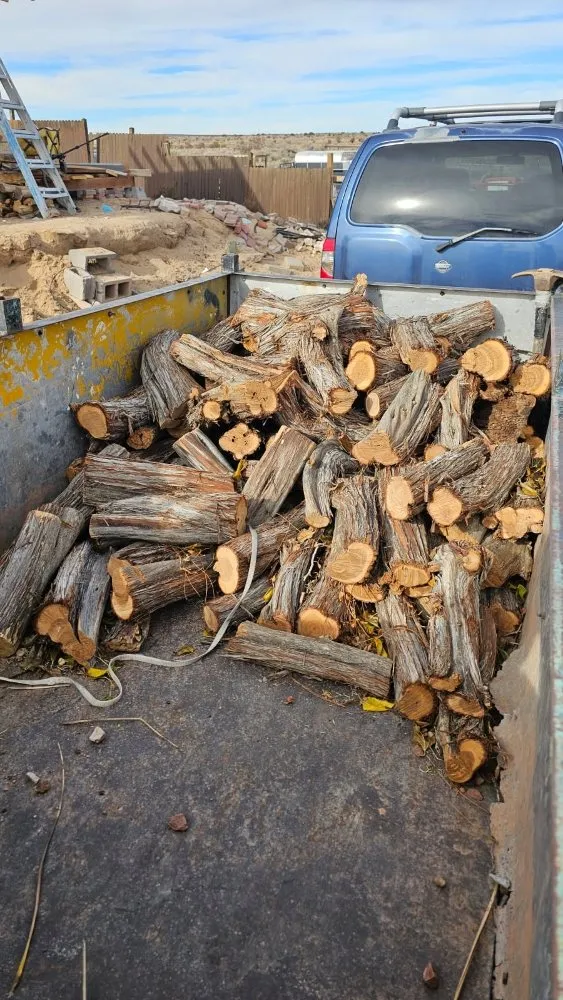 Custom landscaping services for year-round maintenance across Rio Rancho, NM - All Seasons Landscape