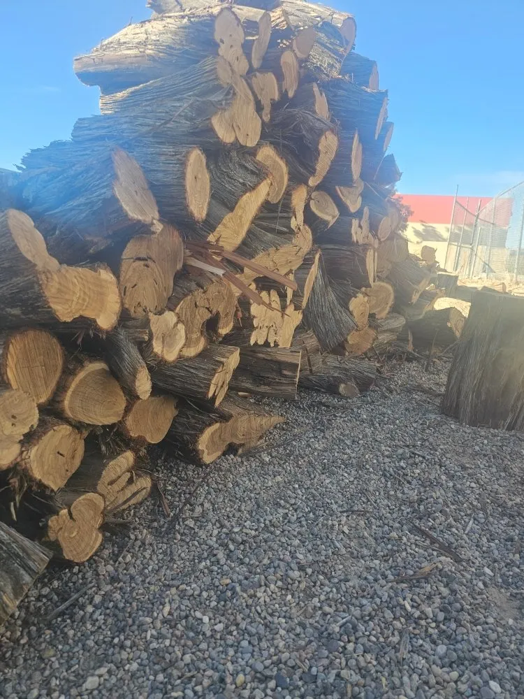 Affordable yard cleanup service in Rio Rancho, NM - All Seasons Landscape
