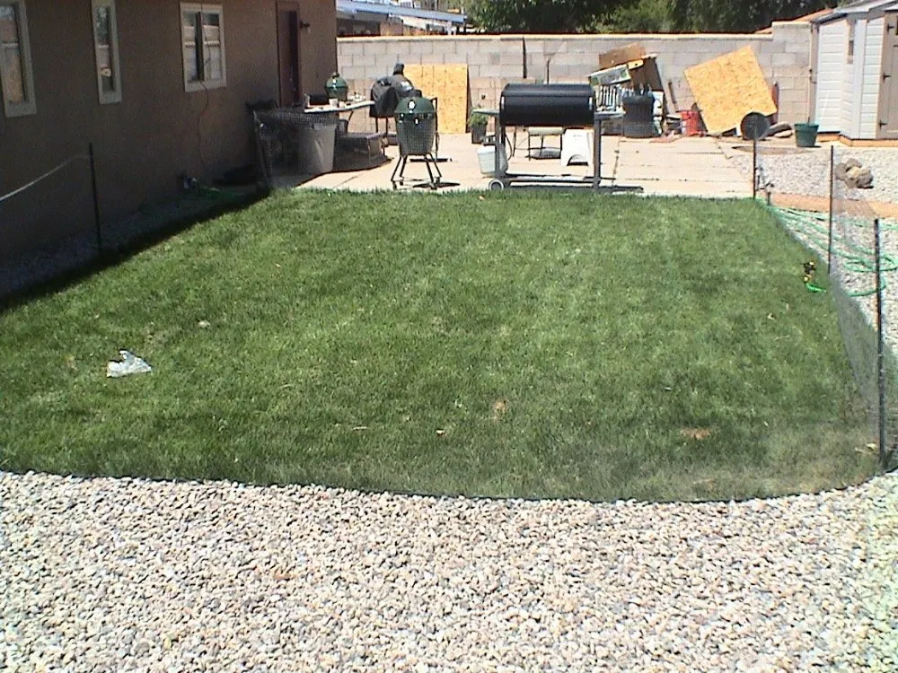 Top-rated lawn care service experts serving Rio Rancho, NM - All Seasons Landscape
