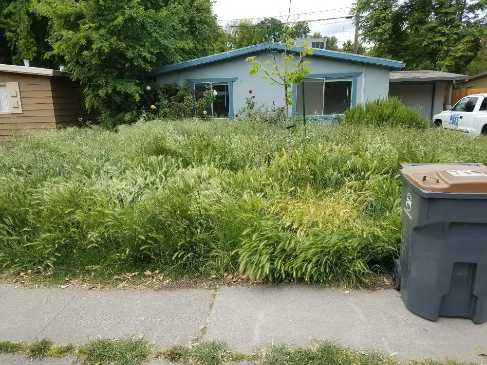 Trusted landscape design in Davis, CA - All Seasons Landscape Services