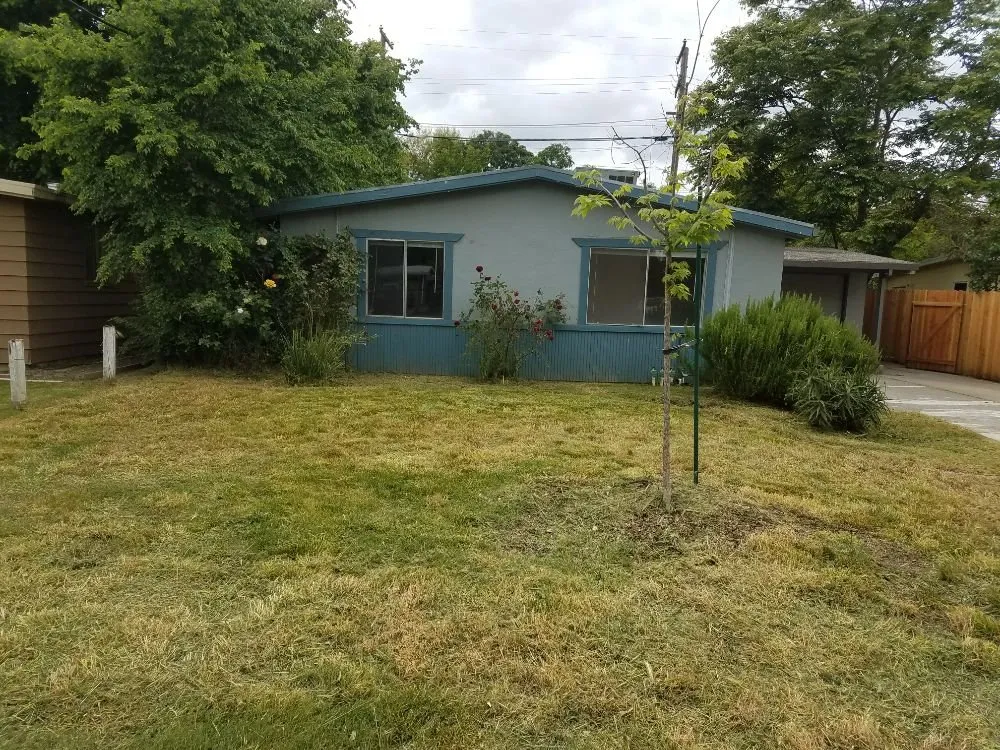 Reliable landscape installation in Davis, CA by All Seasons Landscape Services