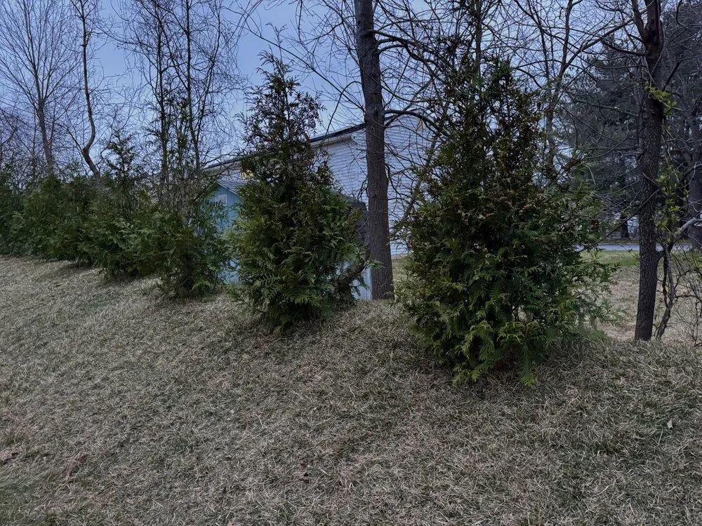 Reliable landscape installation for year-round maintenance across Sykesville, MD - All Seasons Landscape