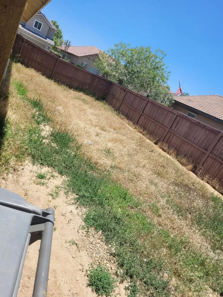 Trusted yard cleanup service for beautiful yards across Cherry Valley, CA - All Seasons Landscaping & Design