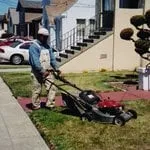 Custom yard cleanup service in Walnut Creek, CA by All Seasons Landscaping & Gardening Services