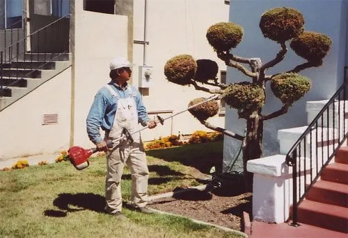 Professional lawn care service in Walnut Creek, CA by All Seasons Landscaping & Gardening Services