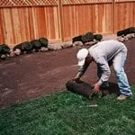 Professional landscape installation in Walnut Creek, CA by All Seasons Landscaping & Gardening Services